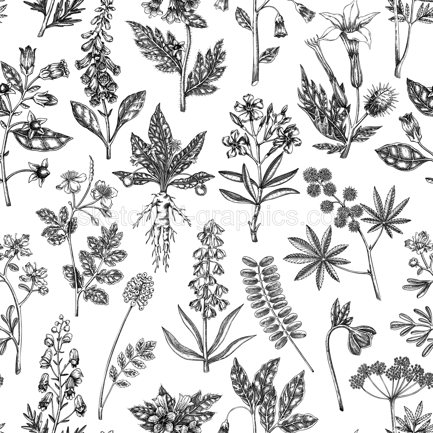 Witch herbs seamless pattern. Poisonous plants background. Apothecary herbs hand-drawn vector illustration. Bohemian design. NOT AI generated Illustration